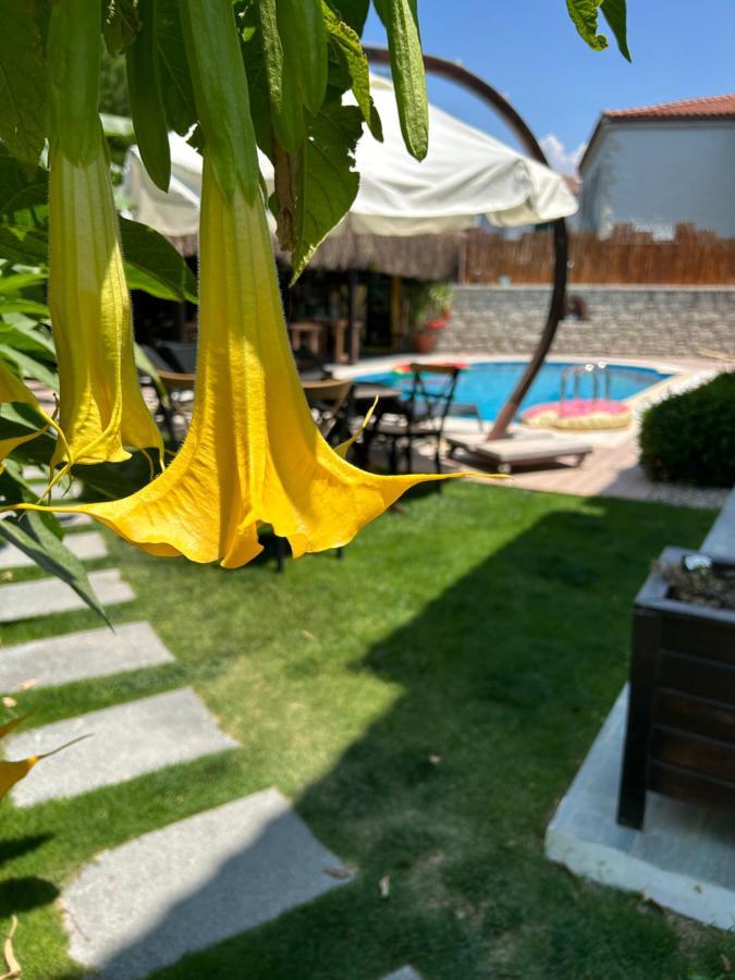 Pupa Alacati Butik Otel Cesme Exterior photo