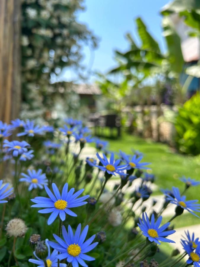 Pupa Alacati Butik Otel Cesme Exterior photo